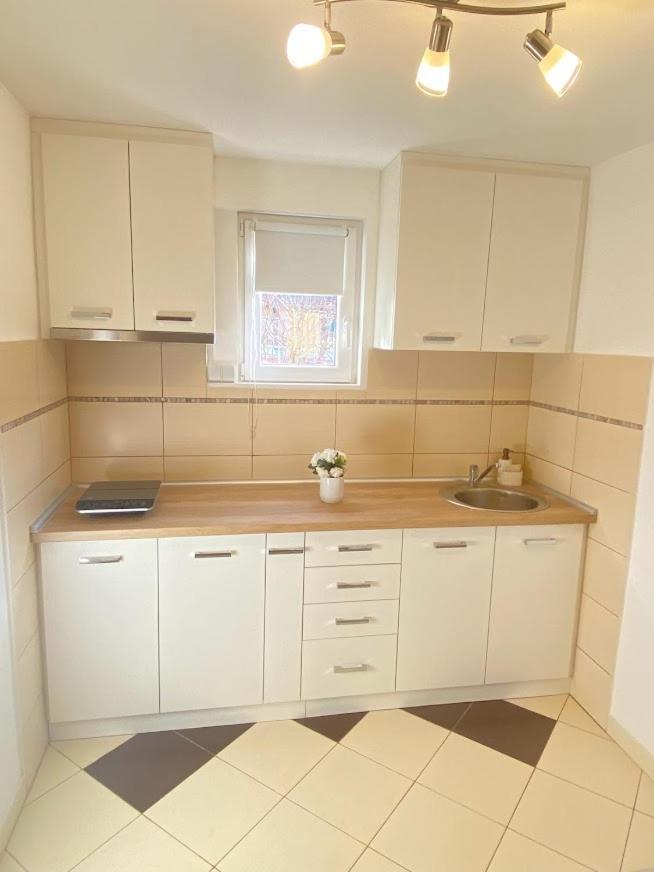 Apartman Mina Mataruska Banja Buitenkant foto
