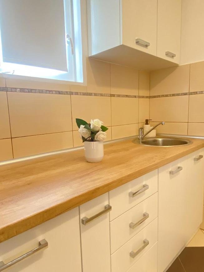 Apartman Mina Mataruska Banja Buitenkant foto