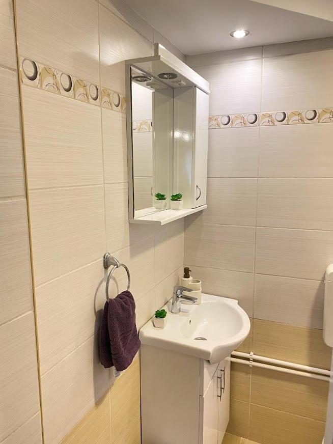 Apartman Mina Mataruska Banja Buitenkant foto