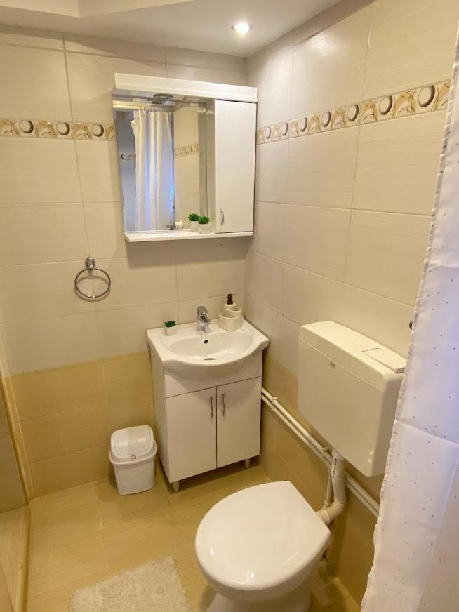 Apartman Mina Mataruska Banja Buitenkant foto