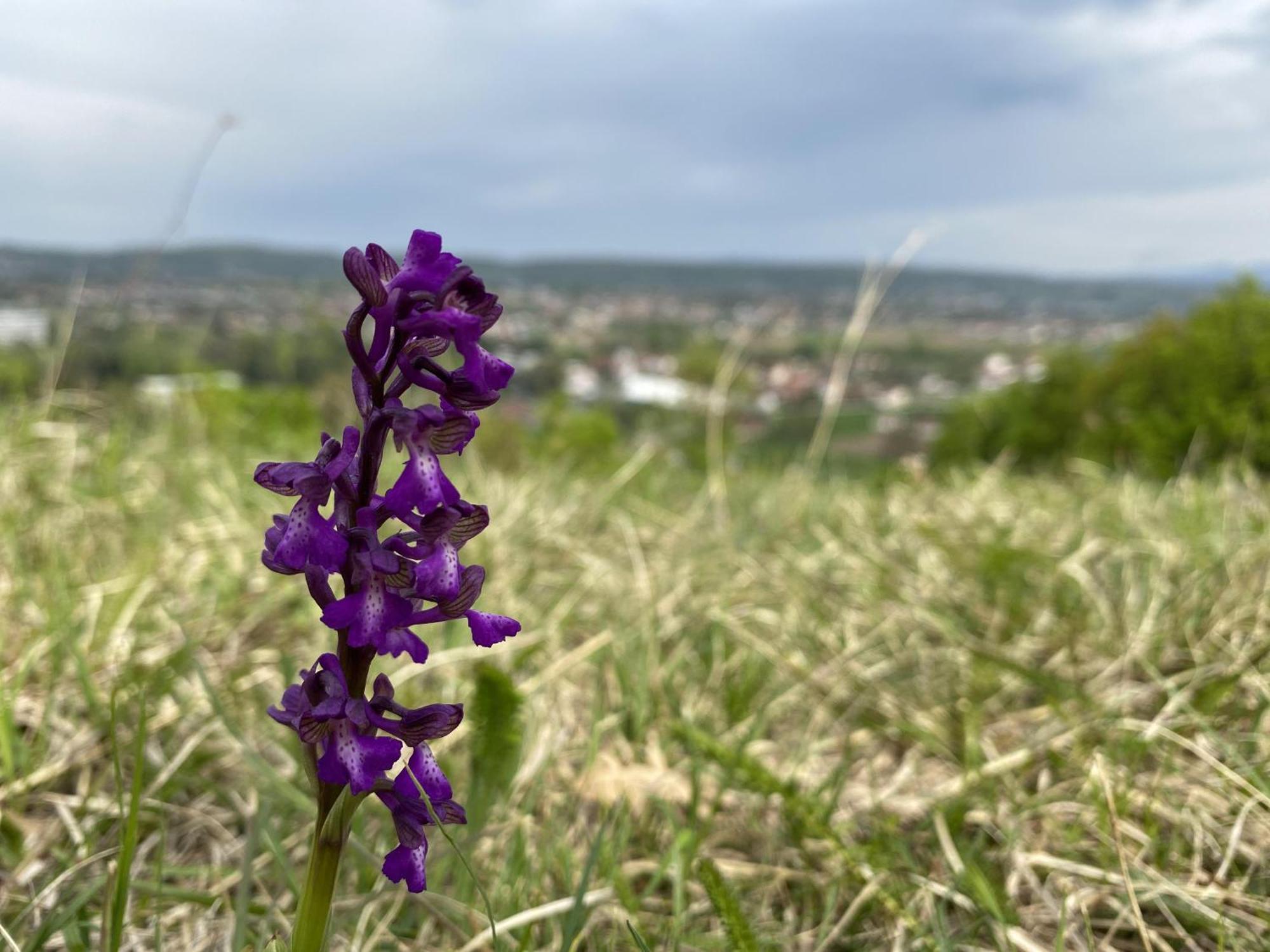 Apartman Mina Mataruska Banja Buitenkant foto