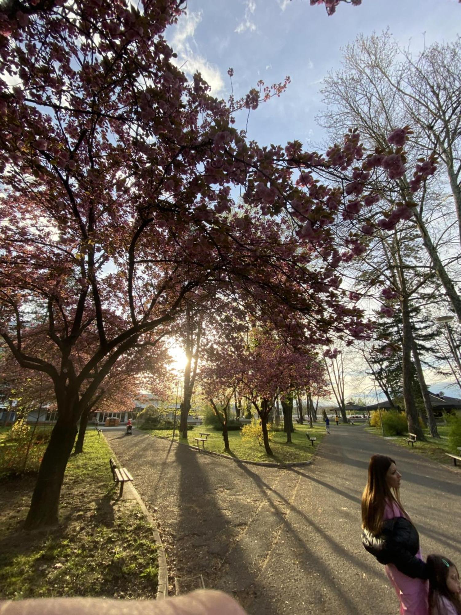 Apartman Mina Mataruska Banja Buitenkant foto